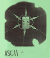 ASCII Emu Oil Shampoo