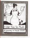 I Like You So Much A Journey In House Chores