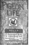 Pigeon Life a Discomfort Guide to Hitchhiking and Recreational Homelessness