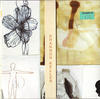 Shannon Keller Fold Out