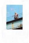 Tiger Girl Photo Zine