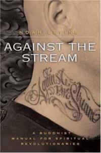 Against the Stream A Buddhist Manual For Spiritual Revolutionaries