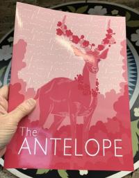 Antelope #2