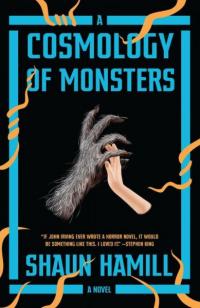 Cosmology of Monsters: A Novel