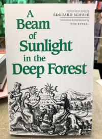 Beam of Sunlight in the Deep Forest