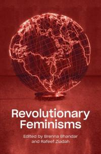 Revolutionary Feminisms: Conversations on Collective Action and Radical Thought