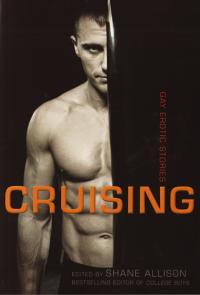 Cruising Gay Erotic Stories