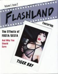 Flashland #1.2 Featuring Tiger Bay