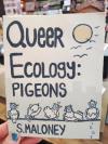 Queer Ecology: Pigeons