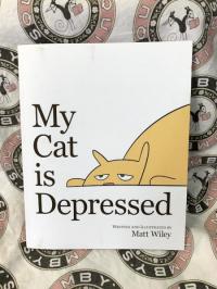 My Cat Is Depressed