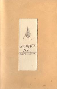 Spiders Visit