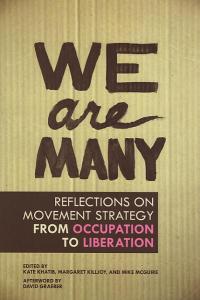 We Are Many Reflections on Movement Strategy From Occupation to Liberation